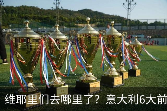 维耶里们去哪里了？意大利6大前锋没一个在踢欧冠